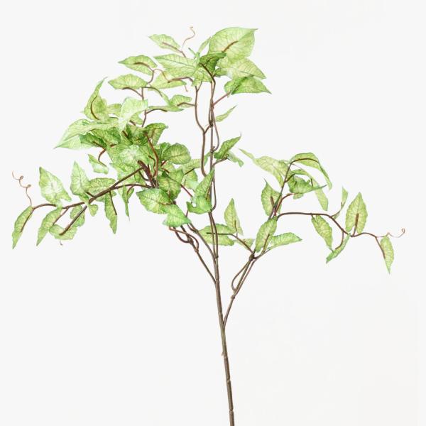 tFCNO[ ϗtA  JWEXvC O[ 55cm G} SC/CTG} ԍ  fBXvC  Ӎ