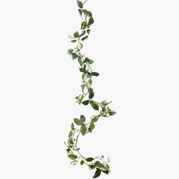 tFCNO[ ϗtA  zK[h 180cm G} SC/CTG} ԍ  fBXvC  Ӎ