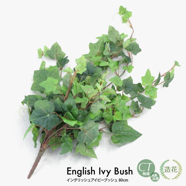 tFCNO[ ϗtA  lHϗtA G} CObVACr[ubV80cm tFCN O[ CeA CTG} Ӎ