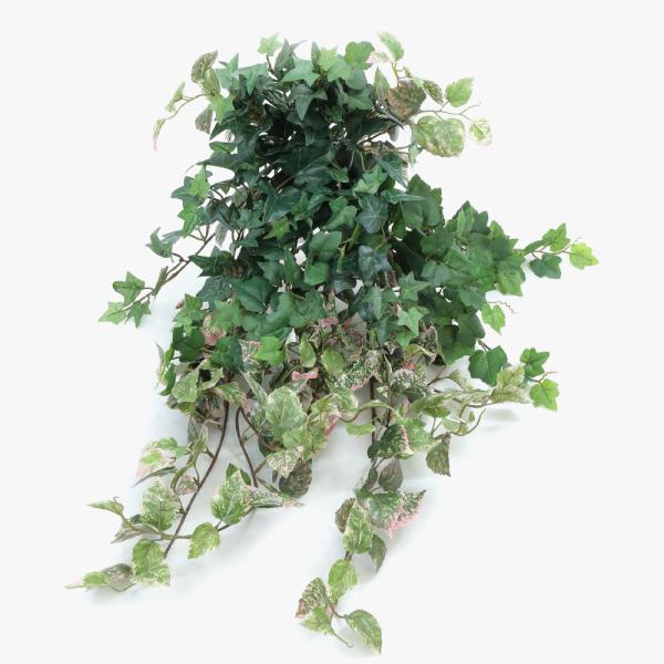 tFCNO[ ϗtA  ACr[~bNXubV 70cm G} SC/CTG} ԍ  fBXvC  Ӎ