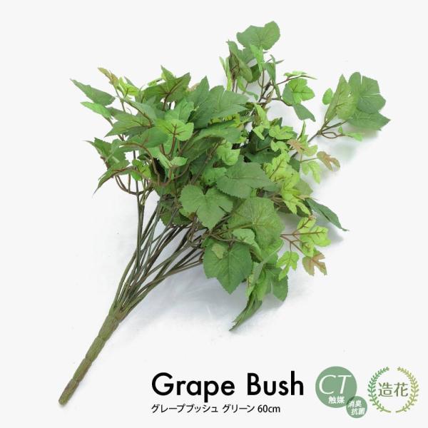 tFCNO[ ϗtA  lHϗtA G} O[vubV O[ 60cm tFCN O[ CeA CTG} Ӎ