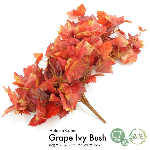 lHϗtA tFCNO[ ϗtA  HFO[vACr[ubV IW 60cm CeA  tFCN O[ CTG} L Ӎ