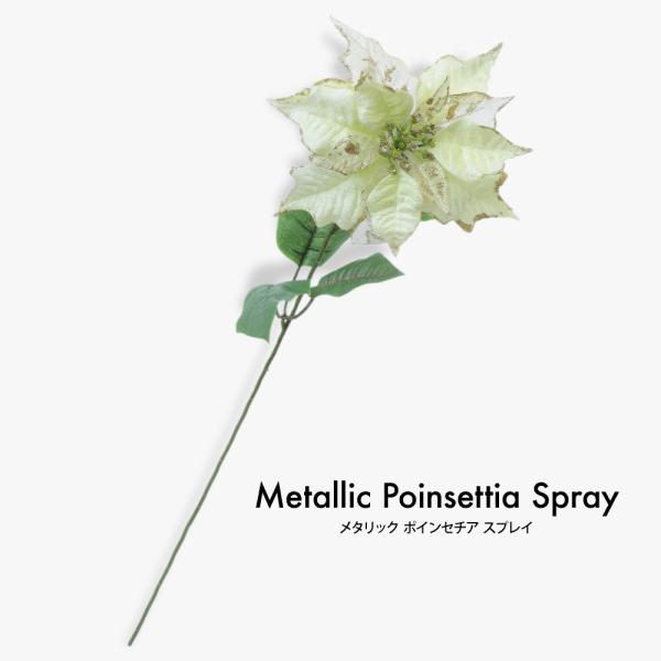 tFCNO[ ϗtA  ^bN|CZ`AXvC 75cm G} SC/CTG} ԍ  fBXvC  Ӎ