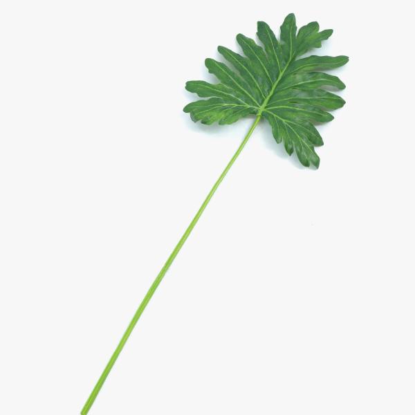 ■仕様・規格：ステム=L45cm、葉=L26cm■素材：ポリエステル繊維・ポリエチレン■注意事項：花や葉の表面は加工上つるっとしていますので、ホコリ等は毛バタキや手で払っていただけます。しつこい汚れは濡れタオルなどで軽く拭来とってください。...