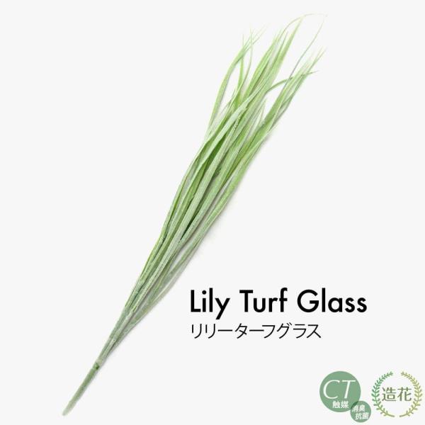 tFCNO[ ϗtA lHϗt  ~j  G} ԍ  [^[tOX  A  fBXvC