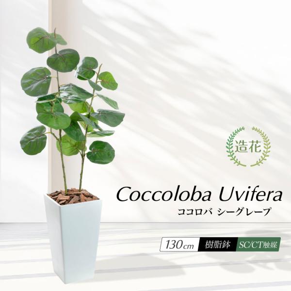 フェイクグリーン 観葉植物 大型 光触媒 造花 おしゃれ 北欧 インテリア 人工 植物 ct触媒 消臭 抗菌 リアル お祝い / ココロバ シーグレープ 樹脂鉢L 全高130cm