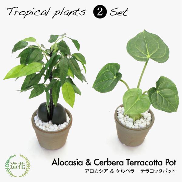 ■商品内容：フェイクグリーン×2個セット■仕様・規格：高さ25cm■素材：造花(人工観葉植物)、鉢=陶器■注意事項：広げ方・個体差によりサイズは若干異なることがございます。■触媒：SC触媒(セルフクリーン触媒、又はCT触媒)とは、電子の受容...