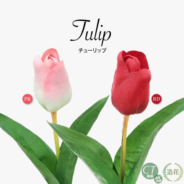 tFCNO[ ϗtA lHϗt  ~j  G}  ԍ AEgbg 󂠂`[bv A  fBXvC