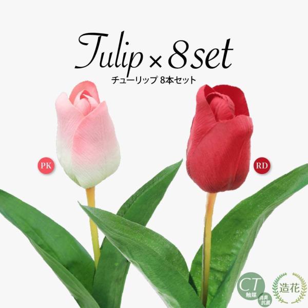 tFCNO[ ϗtA lHϗt  ~j  G}  ԍ AEgbg 󂠂`[bv 8{Zbg A  fBXvC