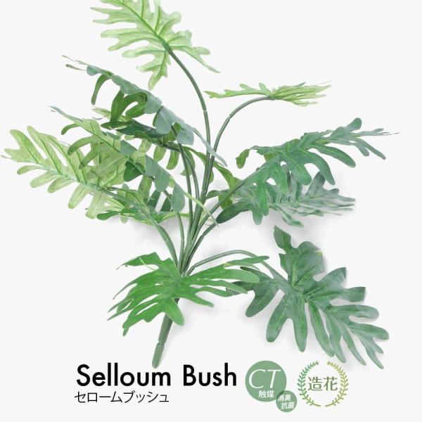 tFCNO[ ϗtA lHϗt  ~j  G} ԍ  Z[ubV A  fBXvC