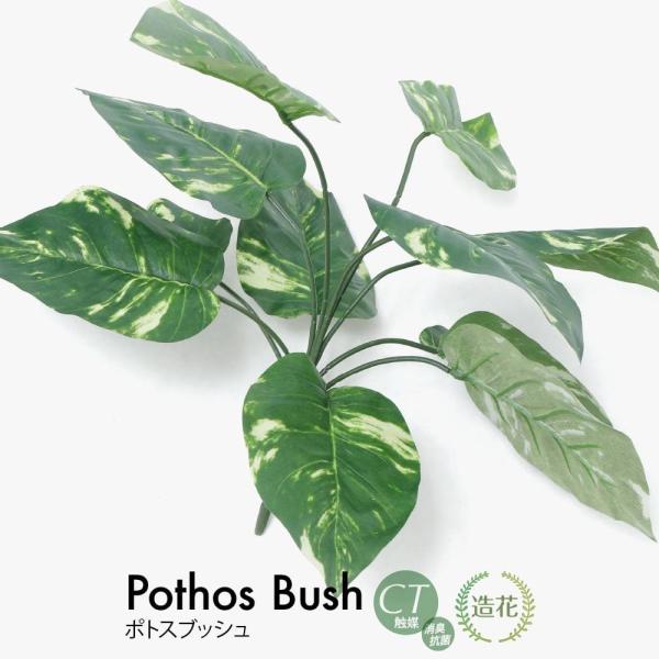 tFCNO[ ϗtA lHϗt  ~j  G} ԍ  |gXubV A  fBXvC