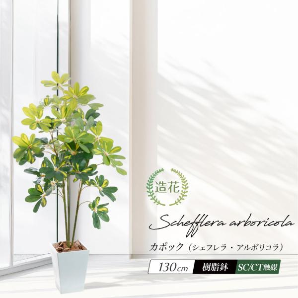 光触媒人工観葉植物ウォールグリーンフェイクグリーン斑入シェフレラ90