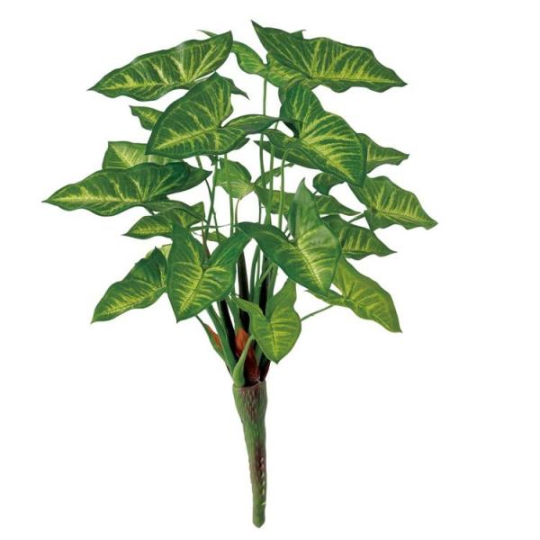 驚きの値段 人工観葉植物 シンゴニウム シンゴニューム 43cm 観葉植物 造花 フェイクグリーン 光触媒 Ct触媒 インテリア スペシャルset価格 Iacymperu Org