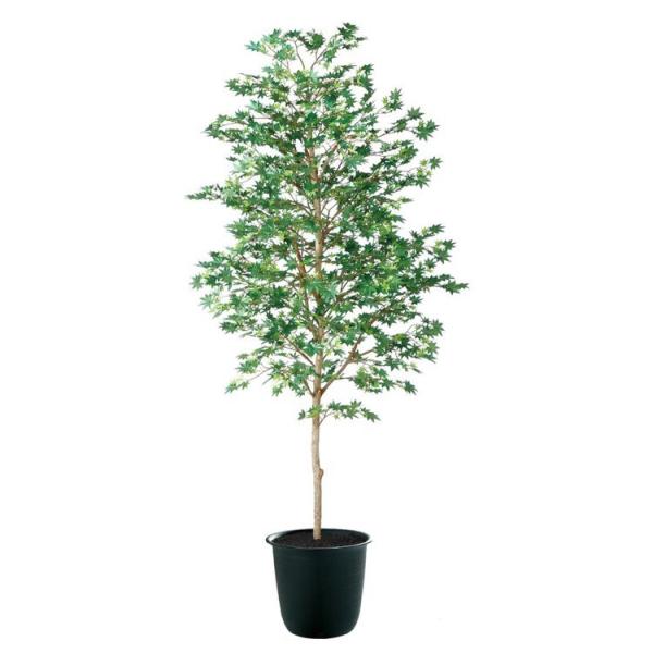 tFCNO[ ϗtA lHϗt ^ G} }~W  180cm A  CeA 91766