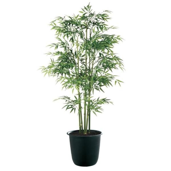 ϗtA  ^ |5{ (ou[) 180cm A tFCNO[ lHϗtA G} CTG} CeA 91784