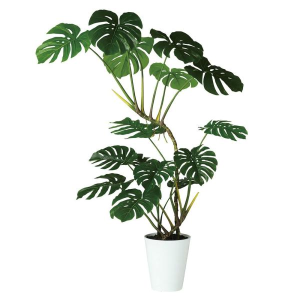 46 割引 4年保証 送料無料 人工観葉植物 お祝いfd Ct触媒 おしゃれ イ フェイクグリーン 3 植物 観葉植物 インテリア 住まい 小物 Pumpkinranch Com