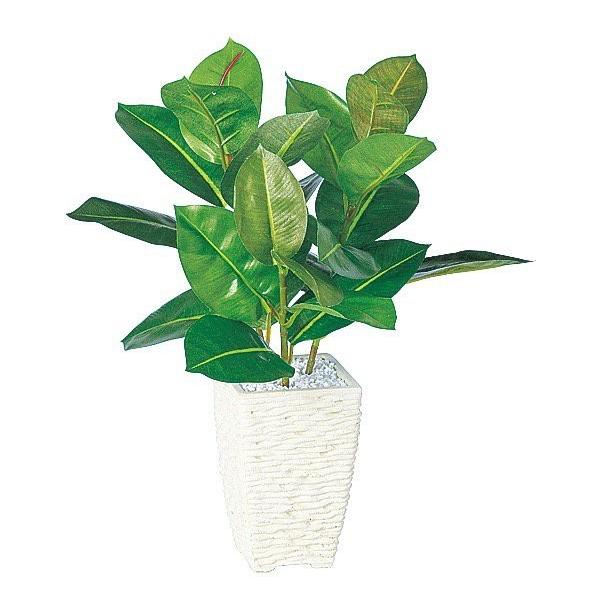 tFCNO[ ϗtA lHϗt  ~j  G} SmL S̖ 37cm A  CeA 98788 t