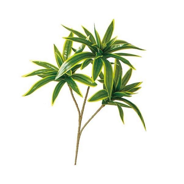 tFCNO[ CfBA Xv[ S 35cm hZi ϗtA  lHϗtA G} CTG} CeA 99024