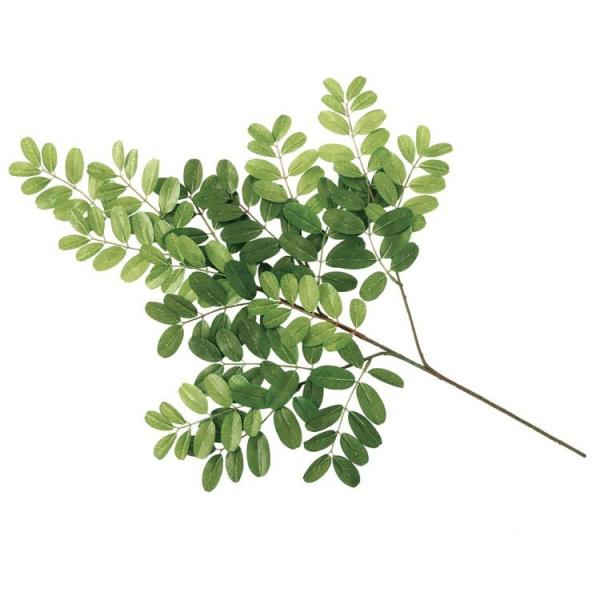 tFCNO[ AJVA Xv[ 72cm ϗtA  lHϗtA G} CTG} CeA 99025