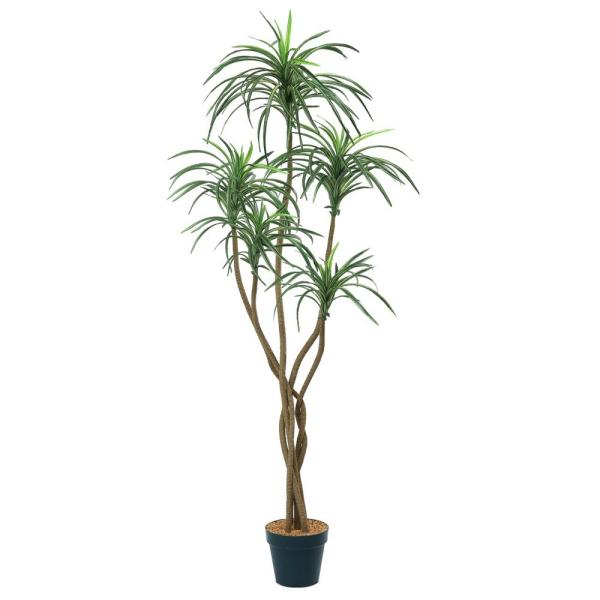 tFCNO[ ϗtA lHϗt ^ G}  bJc[ 150cm A F4187