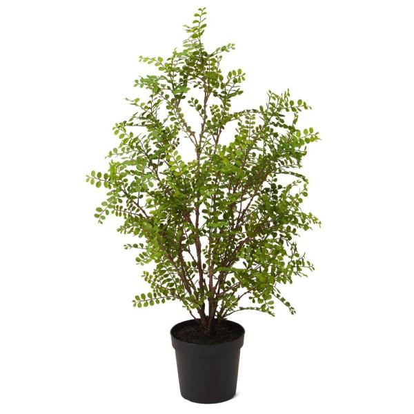 シルクジャスミン 花の人気商品 通販 価格比較 価格 Com