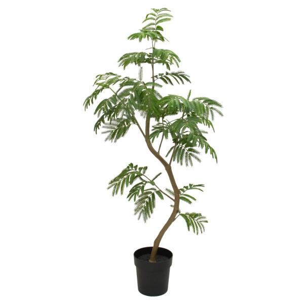 tFCNO[ ϗtA lHϗt ^ G} GR Đfގgp SDGs  cCXgGo[tbV|bg O[ 148cm A 