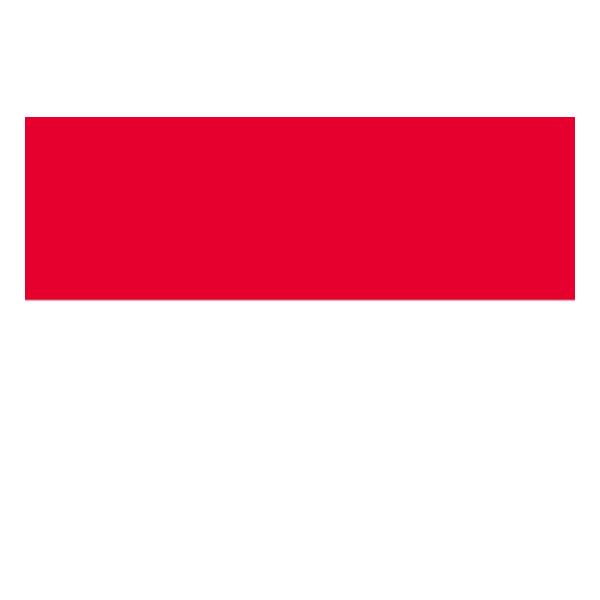 インドネシア　国旗　ヴィンテージ エンブレム インドネシア 国旗 ヴィンテージ エンブレム