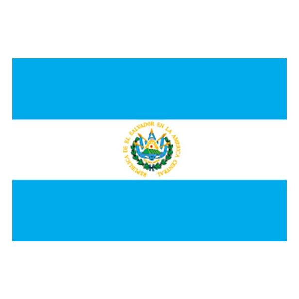 22923  GToh No.1 fށFgsJ TCYFW1050mm×H700mm 񏤕i