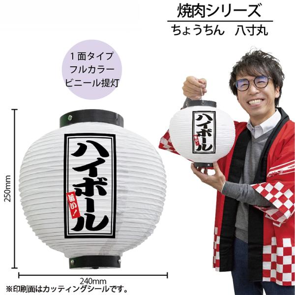 46605 フルカラービニール提灯 ハイボール 八寸丸 白 1面印刷 素材：ビニール製 サイズ：φ240mm×H250mm ※受注生産品