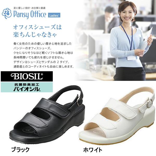 i[XV[Y i[XT_   ItBXT_ Pansy BB5303