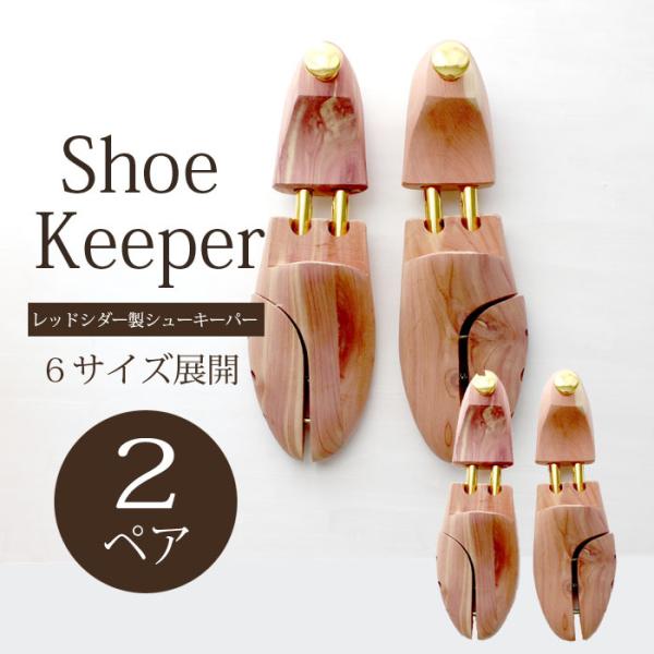 V[L[p[ 2yAZbg lead-1006 ؐ V[c[ bhV_[ Y fB[X VR