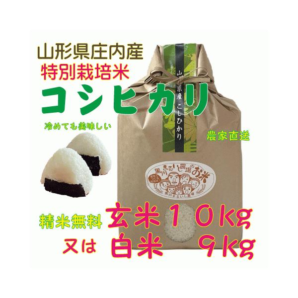 令和７年度特別栽培米山形県庄内産コシヒカリ　玄米５kgまたは白米4.5kg×２袋　箱入り精米無料送料無料（沖縄・九州を除く）