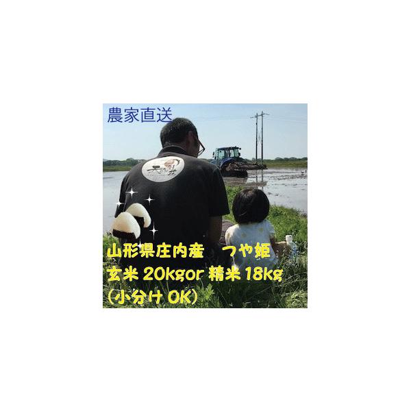 令和７年産 玄米つや姫 20kg 送料無料（四国・九州・沖縄・離島を除く） 山形県庄内 農家直送 安い 白米 小分け対応 精米 訳あり