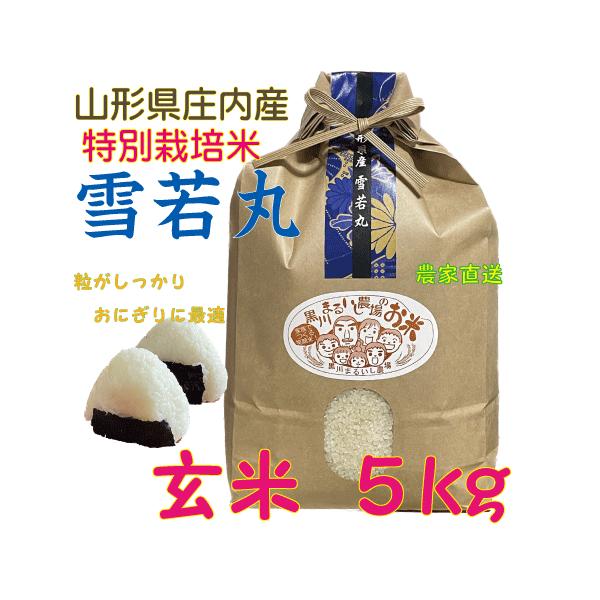 【華金SALE】山形県庄内産　令和7年新米コシヒカリ23kg k-maruishi-farm_yukig5