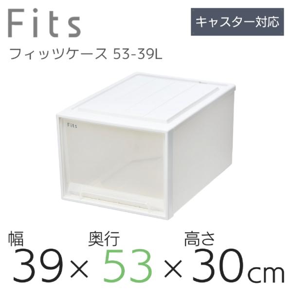 天馬 Fits フィッツケース 53-39LWC (旧:クローゼットL-53) ホワイト