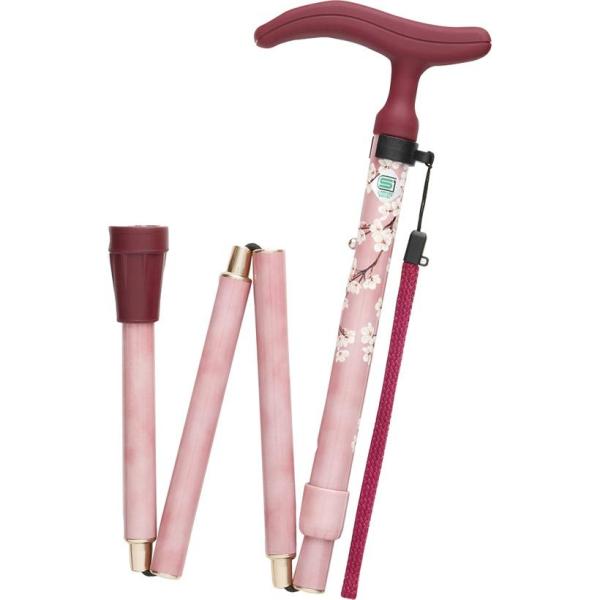  tWz[ ANeCuO|X ܏r sN WB3752   XebL ܂  hV    XebL  s ⏕