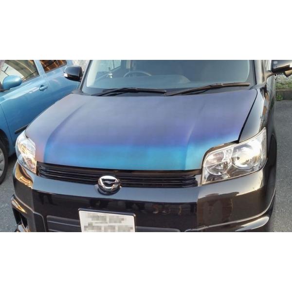 飽きたらつまんで剥がすだけ ラバースプレー ラバーフィルム 400ml 1本 豊富なカラバリ 多用途 雨にも強い カラー選択制 Buyee Buyee 日本の通販商品 オークションの代理入札 代理購入