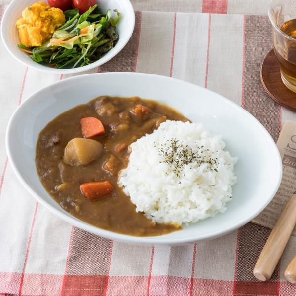 洋食器 オーバルボウル 26cm 白い食器 日本製 美濃焼 エクシブ