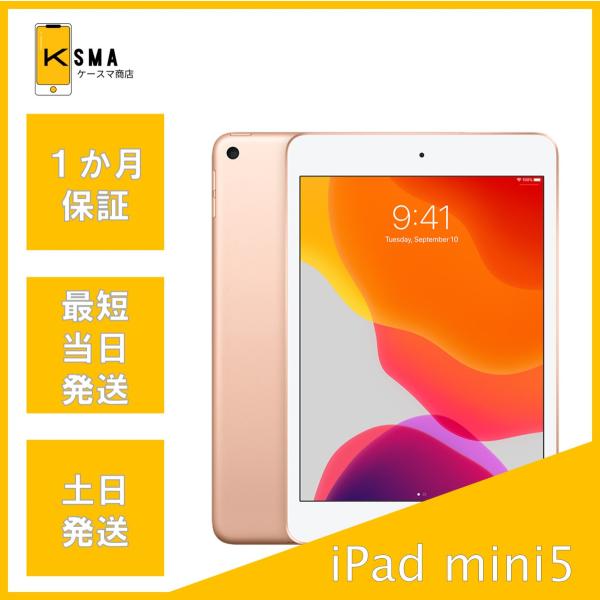 iPad mini 訳あり特価 第5世代 64GB Wi-Fiモデル Bランク : ケースマ 