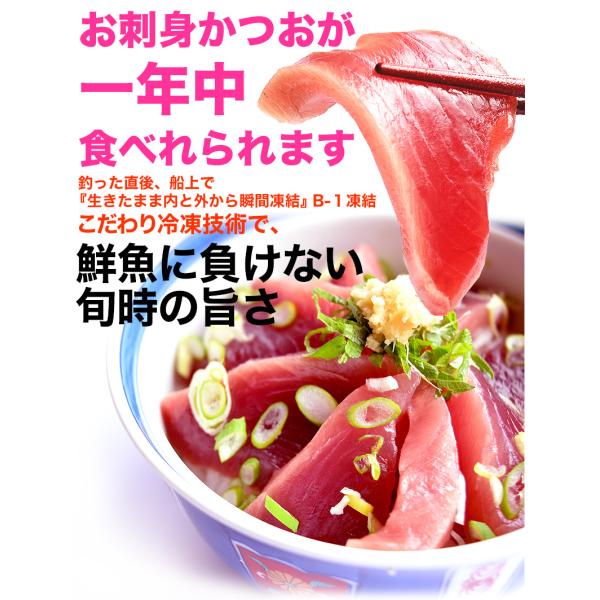 かつお お刺身４節 １ １kg 気仙沼亀洋丸船 戻り鰹一本釣の船凍品 お中元 お歳暮 贈答品 三陸 カツオ おさしみ Buyee Buyee 日本の通販商品 オークションの代理入札 代理購入