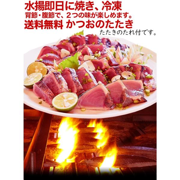 お取り寄せグルメ かつおのたたき２節約８００ｇ 背腹各１節 送料無料６ ８人前 海鮮 お刺身 鰹 カツオ タタキ かつおたたき お中元 贈答品 Buyee 日本代购平台 产品购物网站大全 Buyee一站式代购 Bot Online