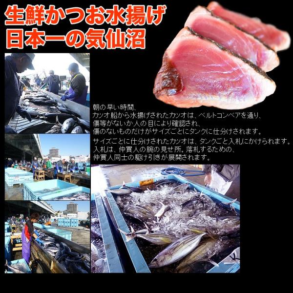 お取り寄せグルメ かつおのたたき２節約８００ｇ 背腹各１節 送料無料６ ８人前 海鮮 お刺身 鰹 カツオ タタキ かつおたたき お中元 贈答品 Buyee 日本代购平台 产品购物网站大全 Buyee一站式代购 Bot Online