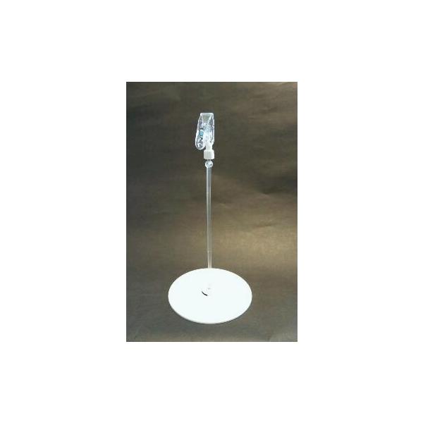 XCOonoĂor|SionopijTCz_[@J[hX^h