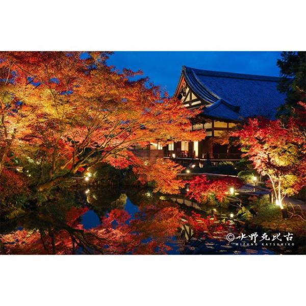 「くろ谷さん」の名で親しまれる浄土宗大本山、「金戒光明寺」の夜紅葉を映した写真です。ライトアップされた紅葉がお庭の池に反射してくっきりと映っており、その迫力を増しています。