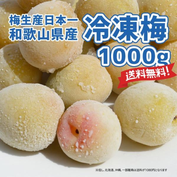 冷凍梅 フルーツ王国 和歌山県産 産地直送 冷凍うめ1.0kg クール便 送料無料