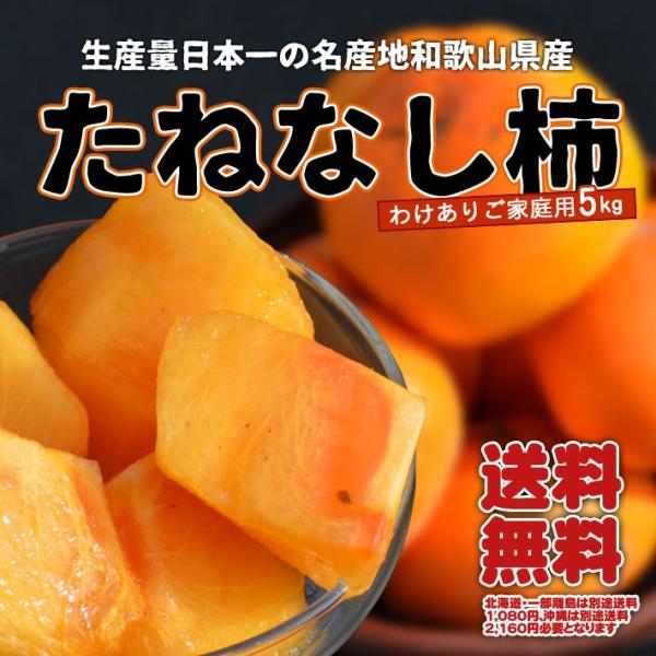 訳あり 種無し柿 5kg 和歌山産 ご家庭用 送料無料 :frtkk005:紀州万屋 通販 