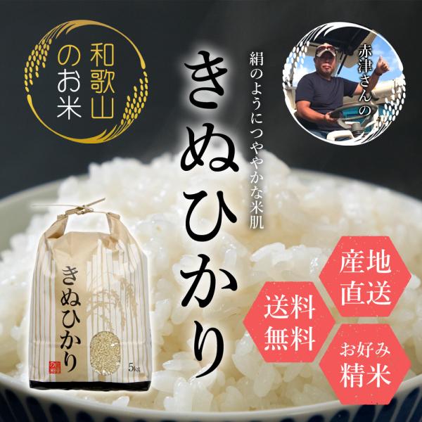 新米 和歌山県産 赤津直基さんのキヌヒカリ 令和4年産 5kg 10kg 30kg