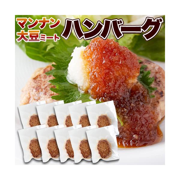 大豆ミート ハンバーグ 10個 ダイエット ダイエット食品 満腹 満腹感 低カロリー レトルト 低カロリー 低糖質 グルテンフリー 大豆のお肉 ビーガン 325211-10