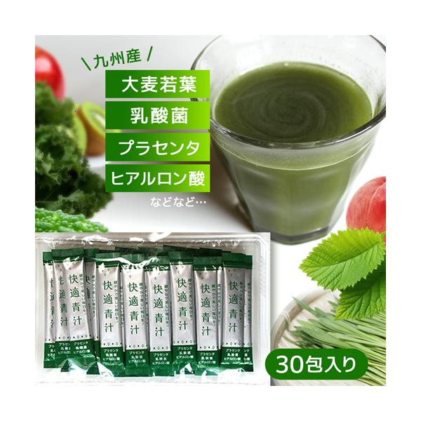 30包入り 青汁 乳酸菌 粉末 国産 大麦若葉 九州 美味しい 個包装 美容 ダイエット 酵素 健康ドリンク 健康飲料 栄養 野菜不足 ビタミン 快適青汁 325224-30
