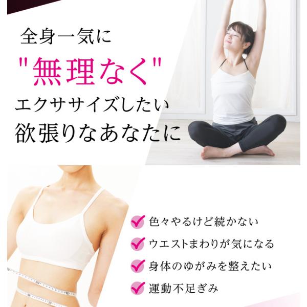 ウエスト ダイエット 引き締め グッズ くびれ 骨盤補正 椅子 運動器具 姿勢 上半身 エクササイズ お腹 ひねり クリスマスプレゼント 3340 Buyee 日本代购平台 产品购物网站大全 Buyee一站式代购 Bot Online